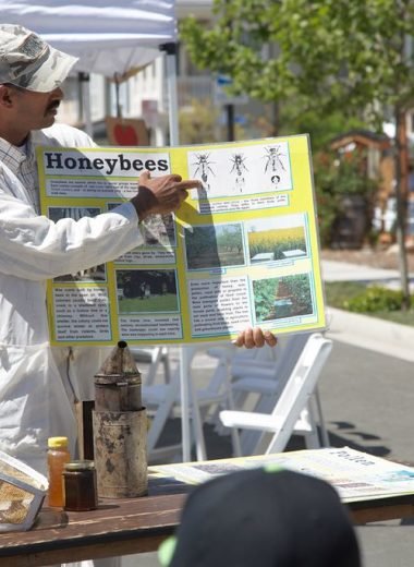 Beekeeping Workshops