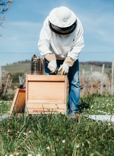 Beekeeping Supplies and Equipment