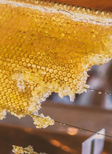 Honey Extraction Services